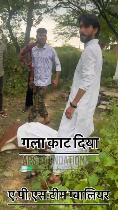 गाये माता का गला काट दिया धार धार चाकू से 😡 हिन्दूयो डूब मरो 😡..!
Respect Girls help poor help animals
#apsgurjar #gwalior #rip #hindu