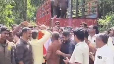 ನರಸಿಂಹರಾಜಪುರ: ಪುಂಡಾನೆ ಸೆರೆ, ಸಂತಸದಲ್ಲಿ ಕುಣಿದ ಜನ.! ಕಾಡಾನೆ ಸೆರೆ ಸ್ಥಳದಲ್ಲೇ ಶಾಸಕ ರಾಜೇಗೌಡಗೆ ಜೈಕಾರ, ಸನ್ಮಾನ.!