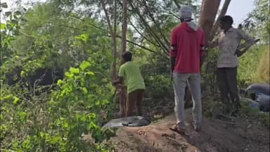 ઉપલેટા: મેલી મજેઠી ગામના ખેડૂતોની સમસ્યાને લઈને મામલતદાર તાલુકા વિકાસ અધિકારી સાહિત્યનાઓને આવેદનપત્ર પાઠવ્યું