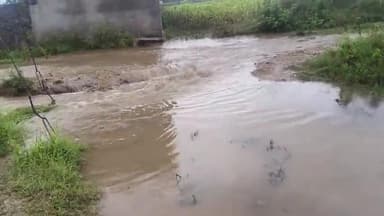 goyla mein ward number 8 mein chalte Hain raste ki taraf rastadasht karte ho gaya hai vah Panchayat samiti se gujarish