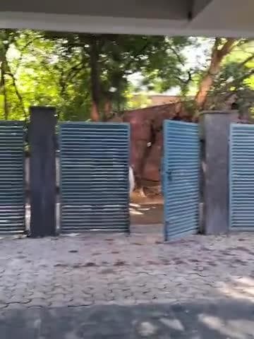 इन की कोई रहने खाने की बेवस्था होनी चाहिए
सेक्टर 54, 53 का गायों का हाल।
