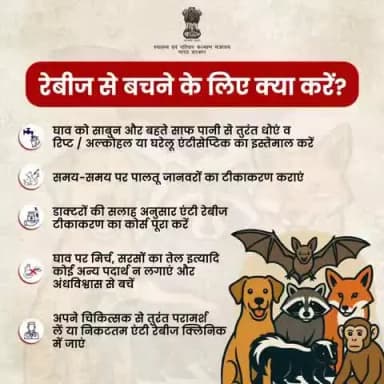 #RabiesPrevention | रेबीज़ से सुरक्षा आपके हाथों में है!
कुत्ते या किसी जानवर के काटने पर तुरंत घाव को धोएं, झोलाछाप इलाज से बचें, और डॉक्टर की सलाह से एंटी रेबीज़ वैक्सीन जरूर लगवाएं|