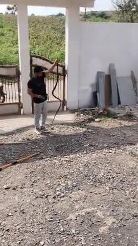 कुर्ती पूरा रेस्क्यू किया एक सांप का घोड़ा पछाड़ सांप को रिसीव किया महेंद्र जाधवा कुक्षी