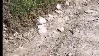 नित्थर: बागीपुल-उर्टू मार्ग पर एक माह से ठप बस सेवा, ग्रामीणों को हो रही भारी परेशानी