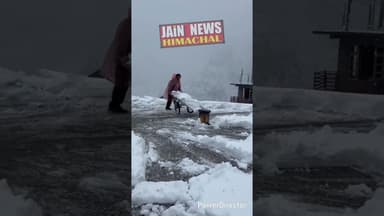 असमय बर्फबारी से लाहुल घाटी में जनजीवन अस्तव्यस्त,#viral #snow #follow #followme
