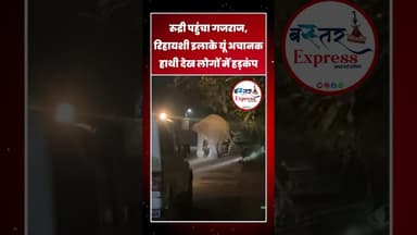 #DhamtariNews #ElephantInTown #DhamtariBreaking #WildElephant #RudriChowk #DhamtariUpdate #hanthi