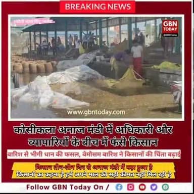 "कोसीकला अनाज मंडी में बारिश से भीगी धान, फसल की कीमत को लेकर परेशान किसान"
#कोसीकला #अनाजमंडी #किसान_परेश