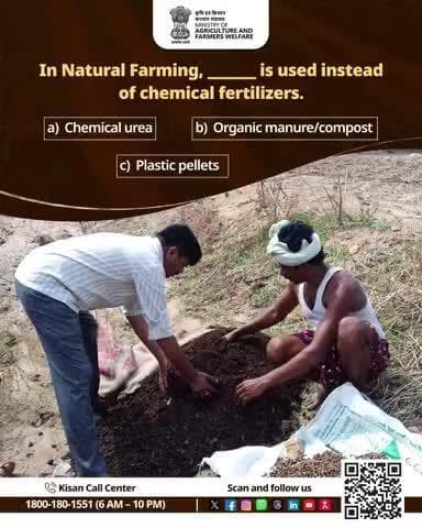What is used in #NaturalFarming instead of chemical fertilizers?
#AgriGoI #AgriQuiz #QuizChallenge