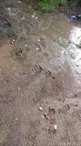 bhagirath ka pura amlheda ambah jila mrena madhya pradesh ka haal