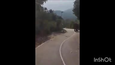 അട്ടപ്പാടി മുള്ളി റൂട്ടിൽ സ്വകാര്യ ബസ് തടഞ്ഞിട്ട് കാട്ടാന