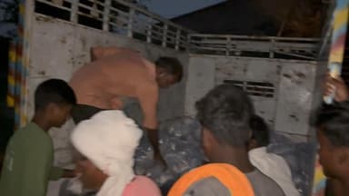 ग्राम रैसों के तालाब में छोड़ा गया लगभग 3 लाख 50 मछली का सरकारी बच्चा #reaso #sandila