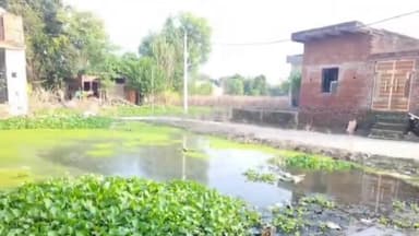 महावन: निगम के वार्ड नंबर 14 तिवारी पुरम में बाढ़ के बाद रास्ता हुआ खराब जल भराव से लोग परेशान #जन समस्या