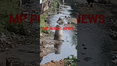 GUNA ए पानी कि पाइप लाइन फूटी #viral #video चैनल #subscribe करें और देखे पूरी जानकारी