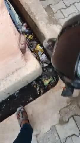1600,1700, aadami ka staff hone ke bad bhi Loni Nagar Palika mein Vikas nahin दो-दो mahine Tak Nagar Palika wale nahin a