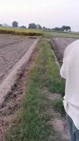 nayapurwa Nausajhiya matiyamu mallawan hardoi ki road isko banvane ki koshish kare
#@