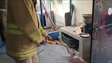 திருவெறும்பூர்: மாத்தூர் அருகே 7 அடி உயர நல்ல பாம்பு - தீயணைப்புத்துறையினர் லாபகரமாக பிடித்து சென்றனர்