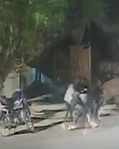 कानपुर: रावतपुर में बहन के प्रेमी को भाई ने दोस्तों के साथ मिलकर सड़क पर पीटकर अधमरा किया, वीडियो आया सामने