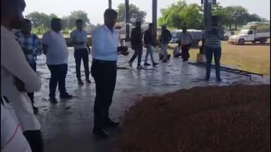 ચોટીલા: ચોટીલા પ્રાંત અધિકારી ના હસ્તે મુળી એપીએમસિ માં ટેકા ના ભાવે મગફળી ની ખરીદી કરવામાં આવી હતી