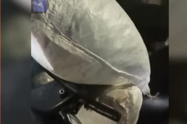 शेवगाव: शेवगावात गुटखा विक्रीला ऊत,प्रशासनाचं गप्प का..?