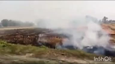 सलोन: चंद्रिका मजरे दिलावलपुर गांव में पराली जलाने का वीडियो सोशल मीडिया पर हुआ वायरल, पराली जलाने पर है प्रतिबंध