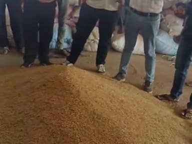 #हिंडोली मंडी में भाव चल रहा है 21 22 23 सो