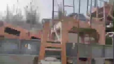 नांगल चौधरी: गांव धोलेडा के क्रेशर जोन में मशीन में गिरने से युवक की मौत, मृतक उत्तर प्रदेश के गाजीपुर का निवासी था