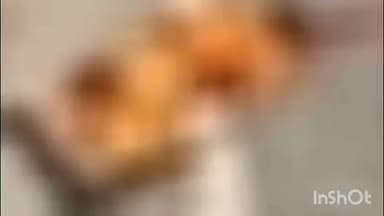 तुरकौलिया: तुरकौलिया के लक्ष्मीपुर पेट्रोल पंप के पास दो बाइक की टक्कर में एक की मौत, दूसरा घायल