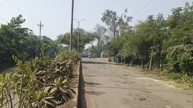 बुरहानपुर नगर: कलेक्टर मार्ग से सिंधी बस्ती चौराहे तक नगर निगम का सफाई अभियान, पेड़ों की छंटाई भी हुई