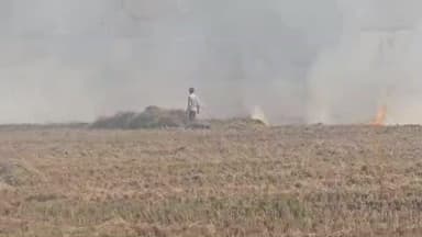 खलीलाबाद: सेमरियावा क्षेत्र के किसानों ने प्रशासनिक आदेशों की धज्जियां उड़ाई, फसलों के अवशेष जलाने से बढ़ा प्रदूषण