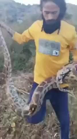 વડાલી: અંબાવાળા ગામે અંદાજિત 8 થી 10 ફૂટ લાંબા અજગરનું સફળ રેસ્ક્યુ કરાયું.