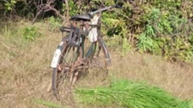 ब्रह्मपूरी: मेढंकी जंगललाथ सिंदि आणण्यासाठी गेलेल्या व्यक्ती वाघाच्या हलयात ठार