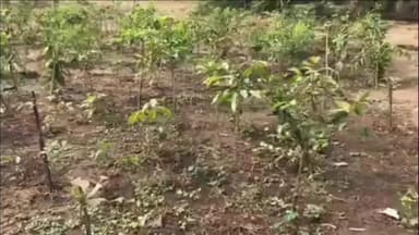 માળીયા: માળીયા મિયાણાના નવાગામમાં ધમધમતી દેશી દારૂની ભઠ્ઠી પર પોલીસનો દરોડો....