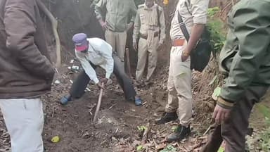 परसवाड़ा: बाघ नाखून तस्करी: उत्तर उकवा वन अमला 28 दिन बाद भी खाली हाथ, चौथा आरोपी फरार, मैरा-लामता जंगल से मिला था बाघ का नाखून