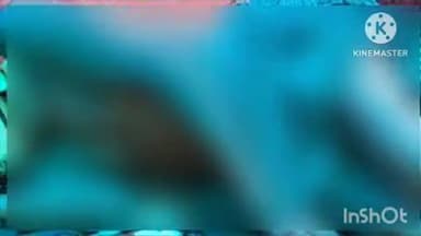 अन्तागढ़: अज्ञात व्यक्ति ने रात के अंधेरे में सो रहे किसान को गोली मारकर किया हत्या, आमांबेड़ा पुलिस जांच में जुटी