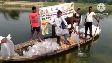 मुसाफिरखाना: निजामुद्दीनपुर के इसौली घाट गोमती नदी में छोड़ी गईं 2 लाख मछलियों के बच्चे, जल संरक्षण व पर्यावरण संतुलन की दिशा में कदम