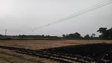 ময়ূরেশ্বর ২: সুন্দরাতে ধানের জমিতে আগুন লেগে পুড়ে ছাই জমির ধান