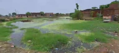 अरियरी: बेलछी गांव में जलजमाव से ग्रामीण परेशान, बीमारी फैलने की आशंका #jansamasya