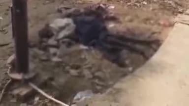 गोंडा: मुजेहना ब्लॉक गेट के पास मिला अज्ञात व्यक्ति का शव, पुलिस ने शुरू की जांच