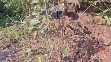 हिंगणघाट: गणेशपुर पारधी बेड्यावर स्थानिक गुन्हे शाखेची वॉशआऊट मोहिम:तब्बल ३४ लाख ६६ हजार रुपये किमंतीचा मुद्देमाल नष्ट