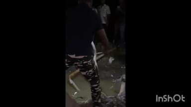 പട്ടാമ്പി: പട്ടാമ്പി കൊടുമുണ്ട വളവിൽ നിന്നും കൂറ്റൻ മൂർഖൻ പാമ്പിനെ പിടികൂടി