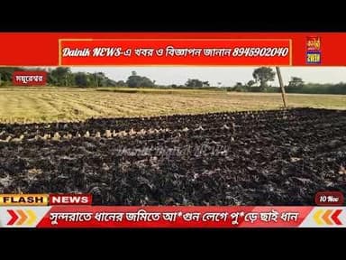 সুন্দরাতে ধানের জমিতে আ*গুন লেগে পুড়ে ছাই জমির ধান