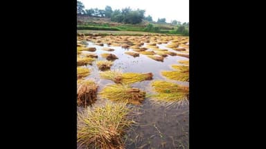 गलियाकोट: गलियाकोट ब्लॉक अध्यक्ष किसान संघ ने मुख्यमंत्री के दौरे को लेकर किसानों से एकजुट होने का किया आह्वान