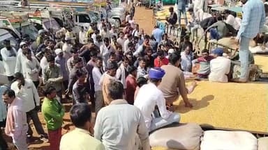 लटेरी: लटेरी कृषि उपज मंडी में किसानों की परेशानी बढ़ी, दो दिन इंतजार के बाद हो रही फसल की बिक्री