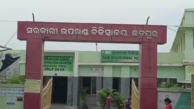 ଛତ୍ରପୁର: ବିଲରେ କାମ କରୁଥିବା ବେଳେ ସାପ କାମୁଡାରେ ବାଲିବଗଡ଼ ଗ୍ରାମର ଜଣେ ମହିଳାଙ୍କ ମୃତ୍ୟୁ