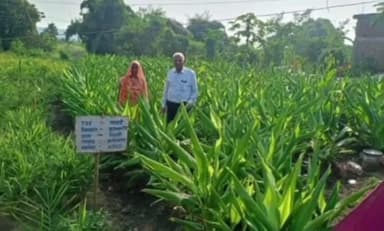 ढीमरखेड़ा: सफलता की कहानी: नानबाड़ी परियोजना बनी वरदान, देवी सिंह ने खेती और मुर्गीपालन से बढ़ाई आय