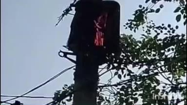 बालूमाथ: वन विभाग कार्यालय परिसर के बिजली जंक्शन बॉक्स में लगी आग, बड़ा हादसा टला, मची अफरा-तफरी