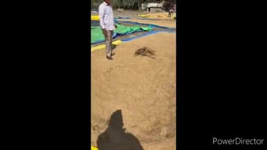 किच्छा: किसानों का फूटा गुस्सा, धान न बिकने पर एक किसान ने अपनी फसल में लगाई आग