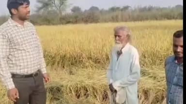 मड़िहान: राजगढ़ विकासखंड क्षेत्र में पराली जलाने पर किसानों को लगेगा जुर्माना, कृषि अधिकारी ने बताए विकल्प और अर्थ दंड