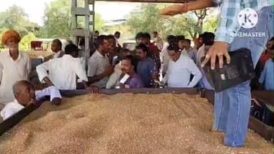 बड़ौद: बड़ौद मंडी में सोयाबीन ₹5411 प्रति क्विंटल बिका, मक्का का भाव ₹1765 रहा