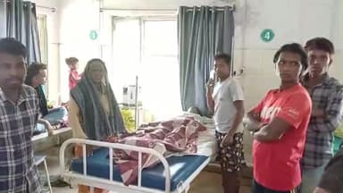 पत्थलगांव: पालीडीह में किशोरी को सांप ने डंसा, बेहतर इलाज से बची उसकी जान